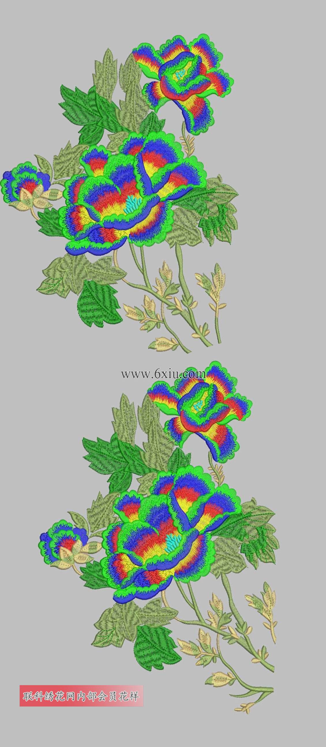 牡丹花傳統繡花花樣版帶下載-會員免費繡花圖案下載_網友上傳花版共享